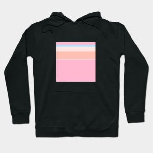 A prime composition of Fresh Air, Cornflower Blue, Baby Pink, Very Light Pink and Pale Rose stripes. - Sociable Stripes Hoodie